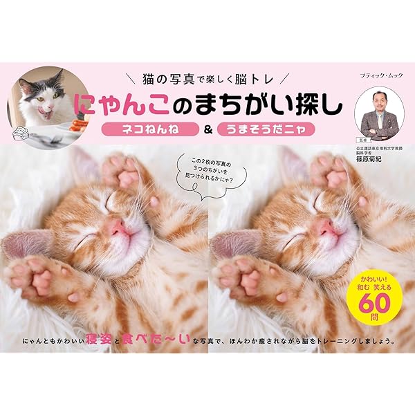 じゃまかわいいネコハラ ([テキスト]) | にゃんこ編集部 |本 | 通販